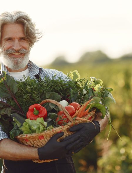 Close up of old farmer holding a basket of vegetables. The man is standing in the garden. Senior in a black apron.